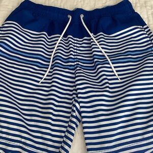Nautica Blue and White Striped mens Shorts